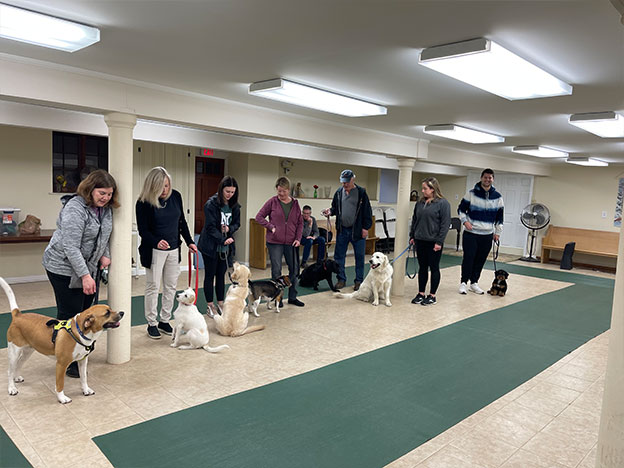 Proud dog owners with their pets at a training class graduation ceremony