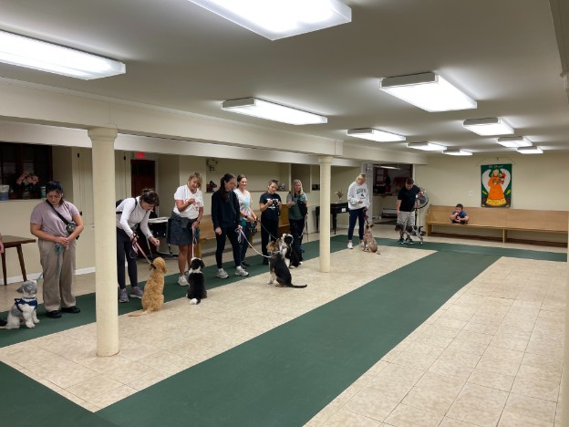 Proud dog owners with their pets at a training class graduation ceremony