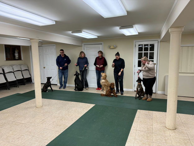 Proud dog owners with their pets at a training class graduation ceremony