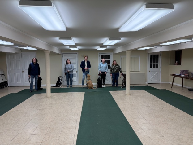 Proud dog owners with their pets at a training class graduation ceremony