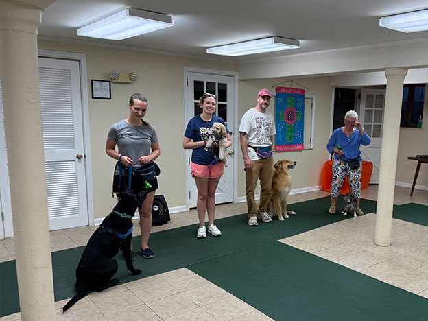 Proud dog owners with their pets at a training class graduation ceremony